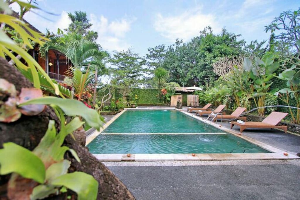 swimming pool