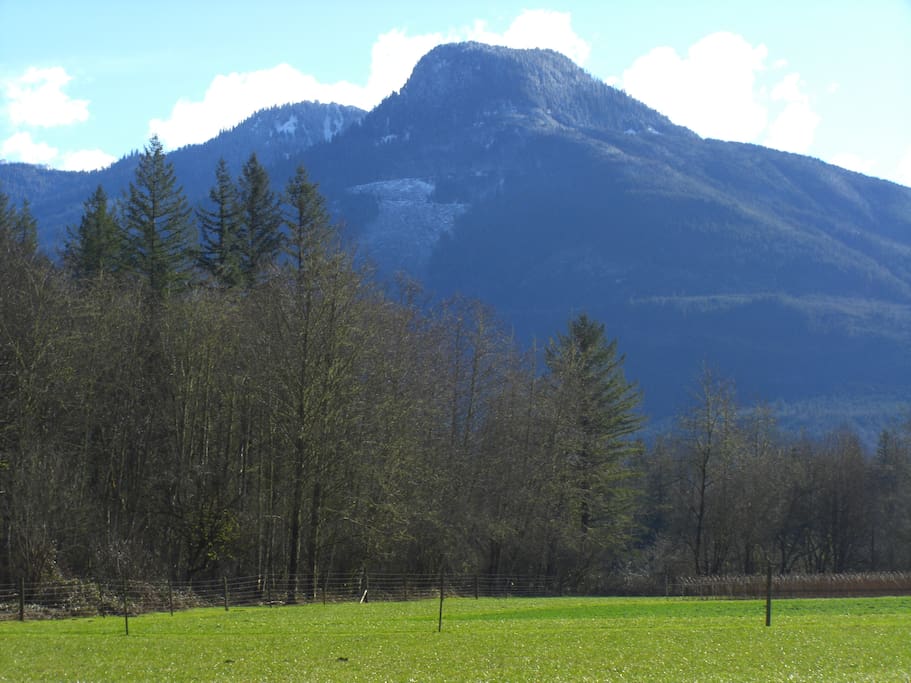 This is the view from the Yurt