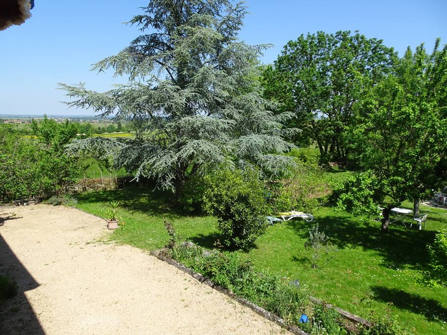 Vue de la terrasse sur le jardin.
