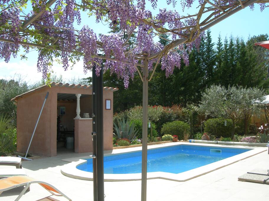 Piscine au printemps