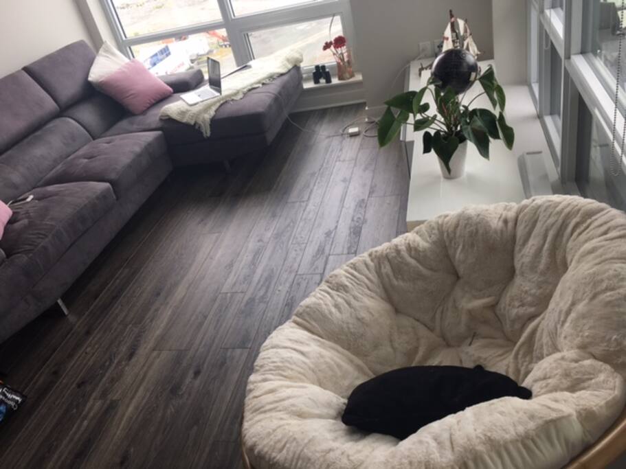 Oh the Comfort!