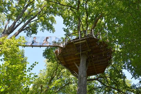 Treehouse Guadeloupe