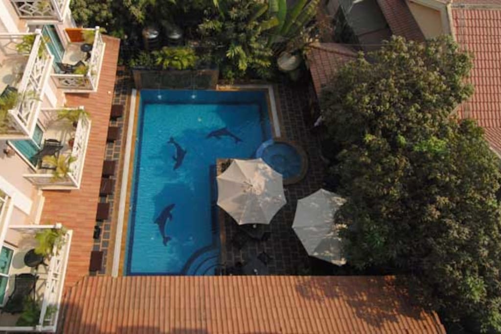 Swimming Pool view