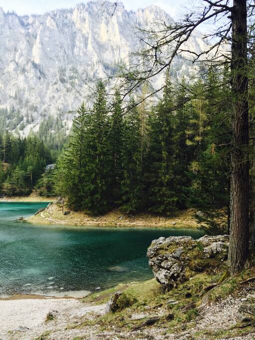 Tragöß,( Grüner See) , 25 min mit dem Auto entfernt.