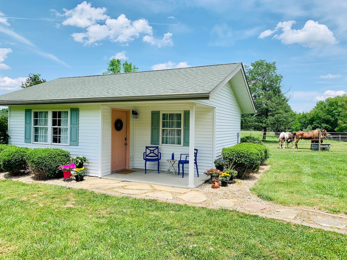 The exterior of a charming cottage features a welcoming entrance with a light-colored door. Two blue chairs and a small table are positioned on a stone path, surrounded by well-maintained grass and flower pots. In the background, horses can be seen grazing in a fenced pasture.