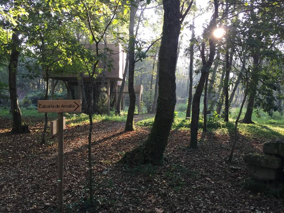 Finca Apriscos otoño