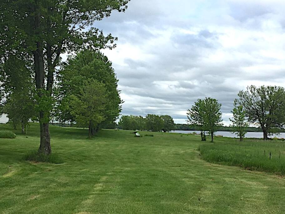 Green space for sports activities