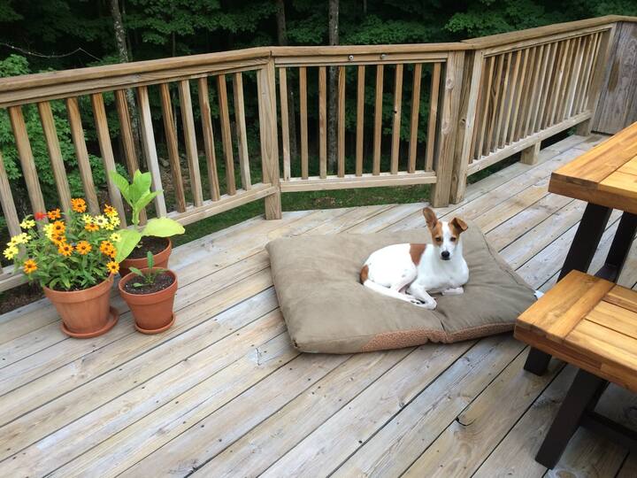 10 Best Airbnb Vacation Rentals In Roxbury, New York Updated 2024 Trip101