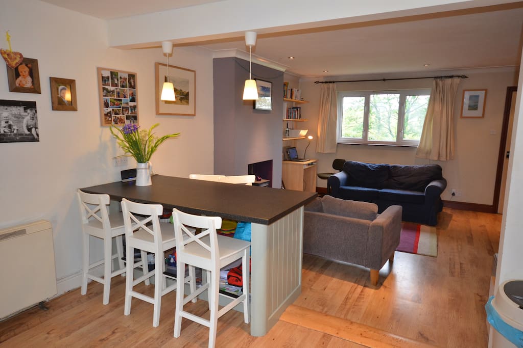 Kitchen/living area (with log burner/wifi)