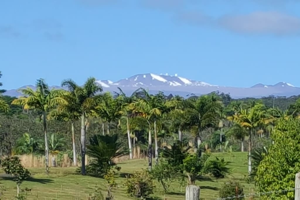 View of Mauna Kea as a backdrop to Buddha's Cup Retreat
