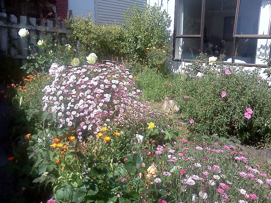 Front garden