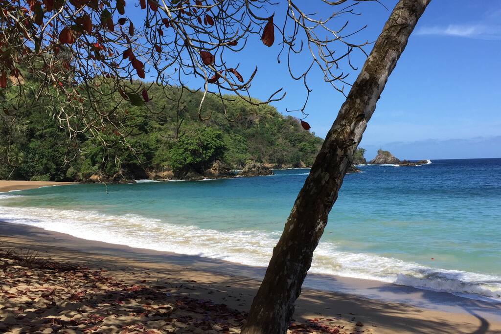 Tropical life style