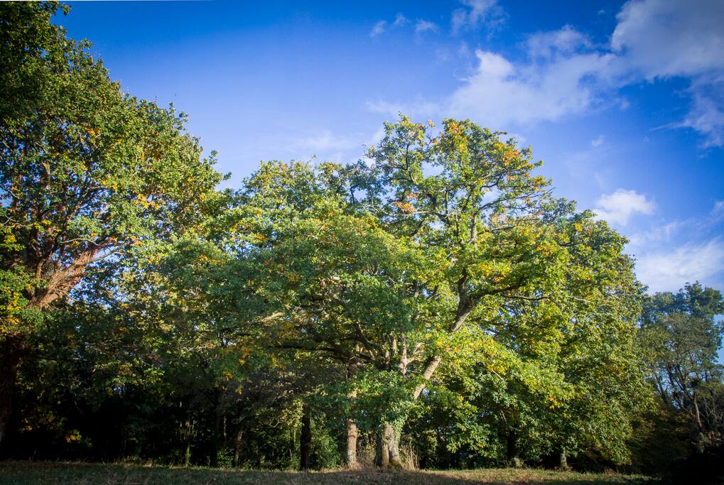 parc