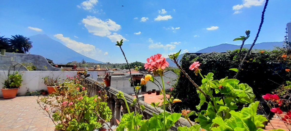 A rooftop view showcases vibrant flowers in pots, with a backdrop of iconic volcanoes under a clear blue sky. The arrangement of greenery and blooms adds a splash of color to the urban landscape, complemented by terracotta rooftops and a distant mountainscape.