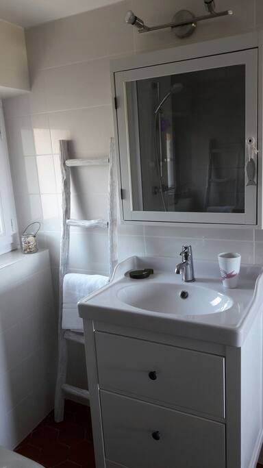 La salle de bain, WC et douche