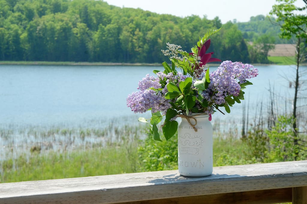 Flower Picking at the Lake
