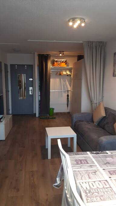 pièce a vivre avec canapé lit et lit armoire