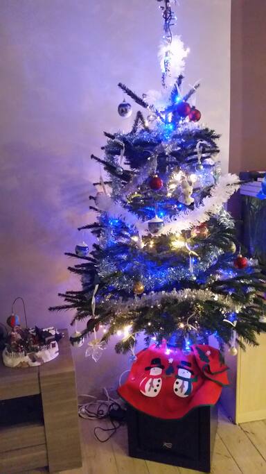 Et oui c'est Noël, un ptit sapin pour égailler vos soirées
