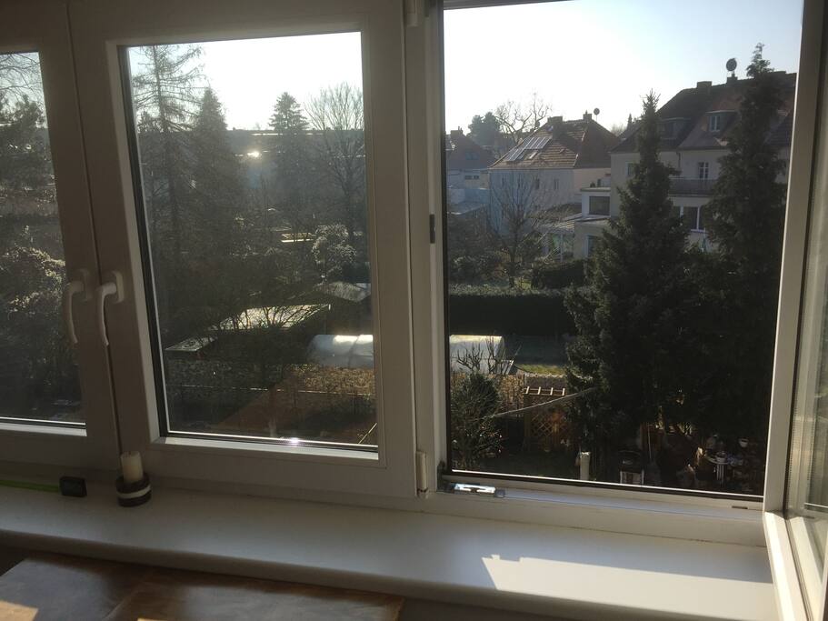 Ausblick ins Grüne