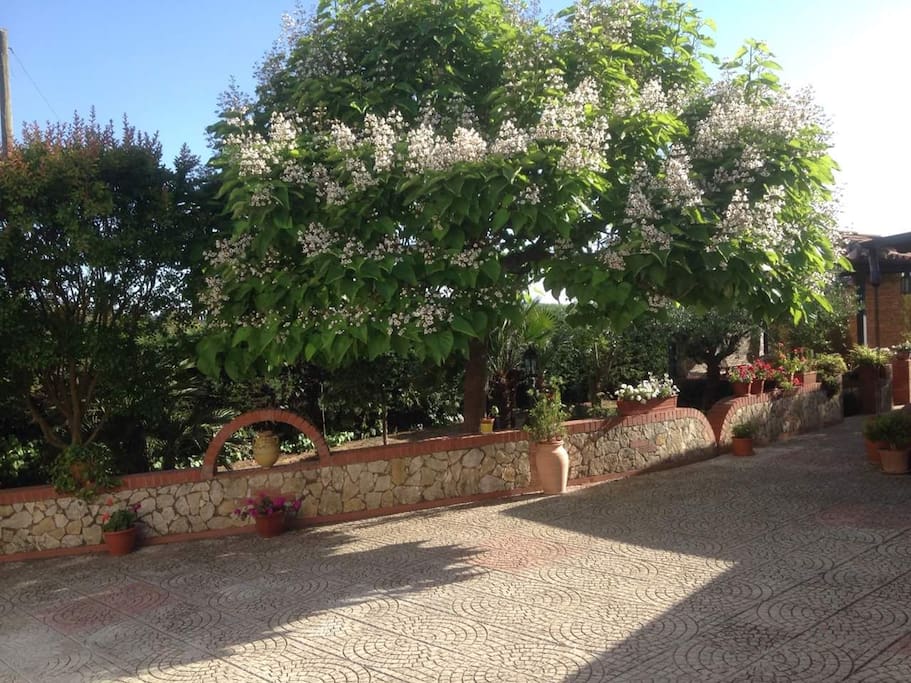 Giardino