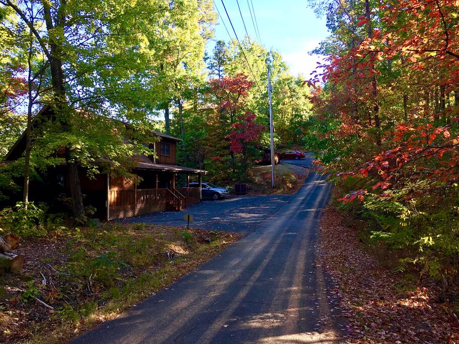 Street view with cabin on the left. Level parking with minimal steps to enter cabin (2 steps on right side)