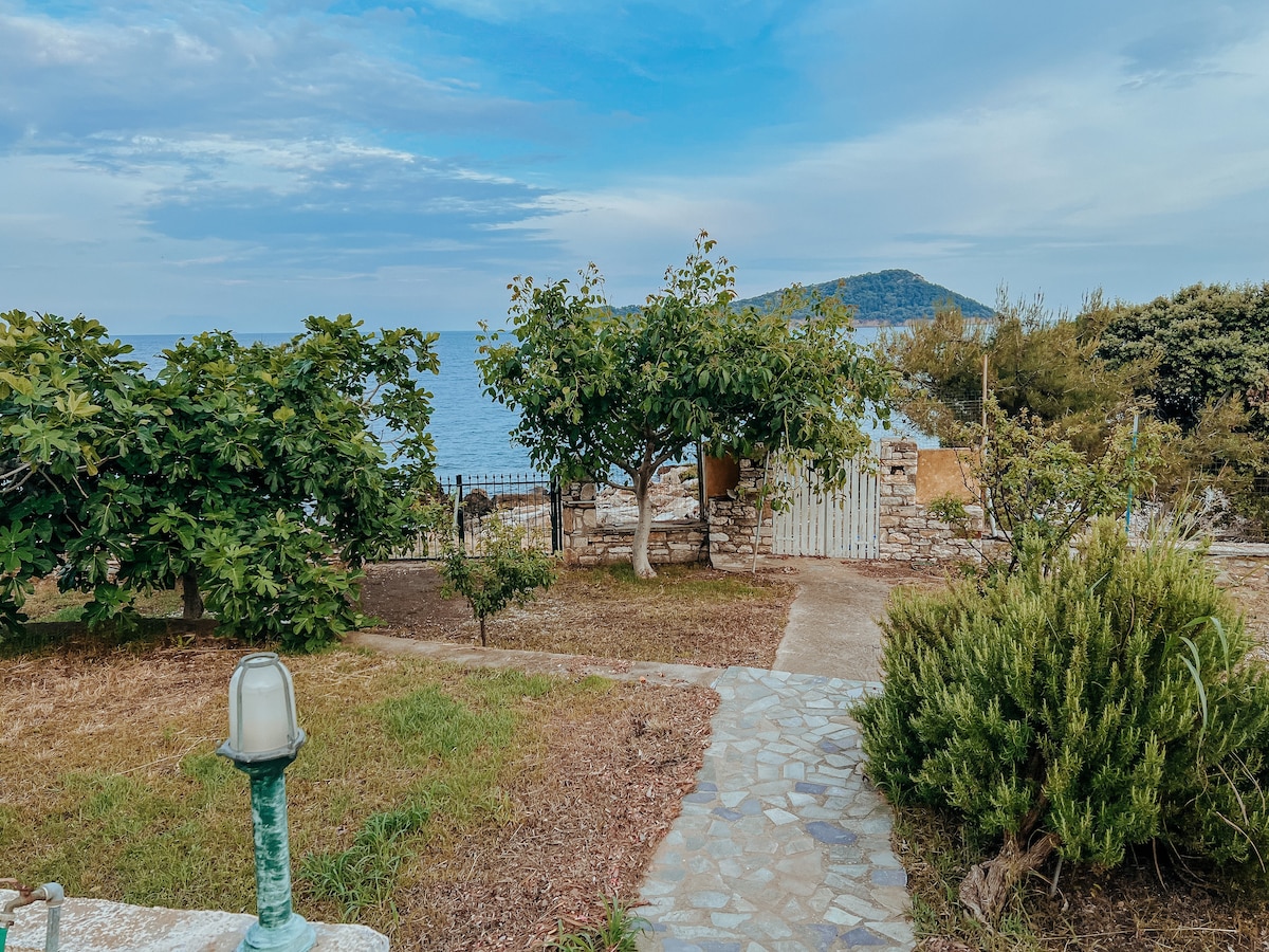 A garden view is displayed, featuring greenery with trees and shrubs lining a pathway. The pathway leads towards the sea, where the distant outline of a small island is visible. Stone walls provide a natural boundary, enhancing the tranquil setting.