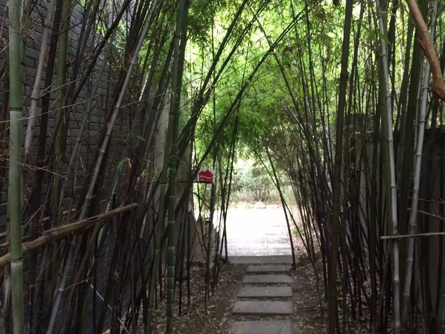 花园-2