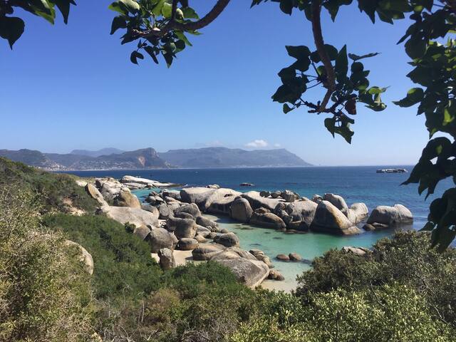 Phoenix Rising – Above Boulders Beach – Simonstown gallery image 4
