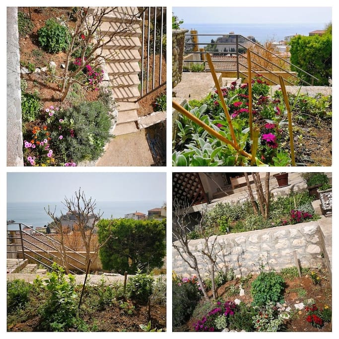 Our garden and view to old town