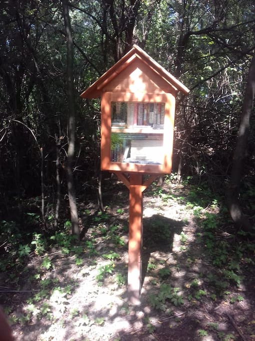 Mini library in the forest