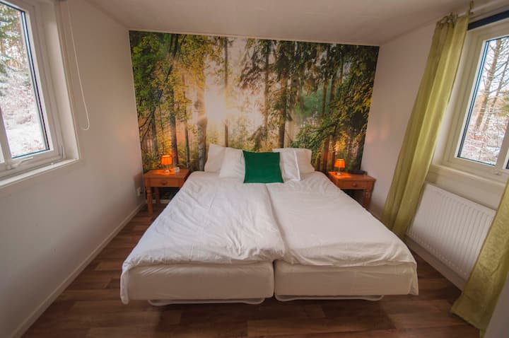 Bedroom nr 5. The "Pine Forrest room" 