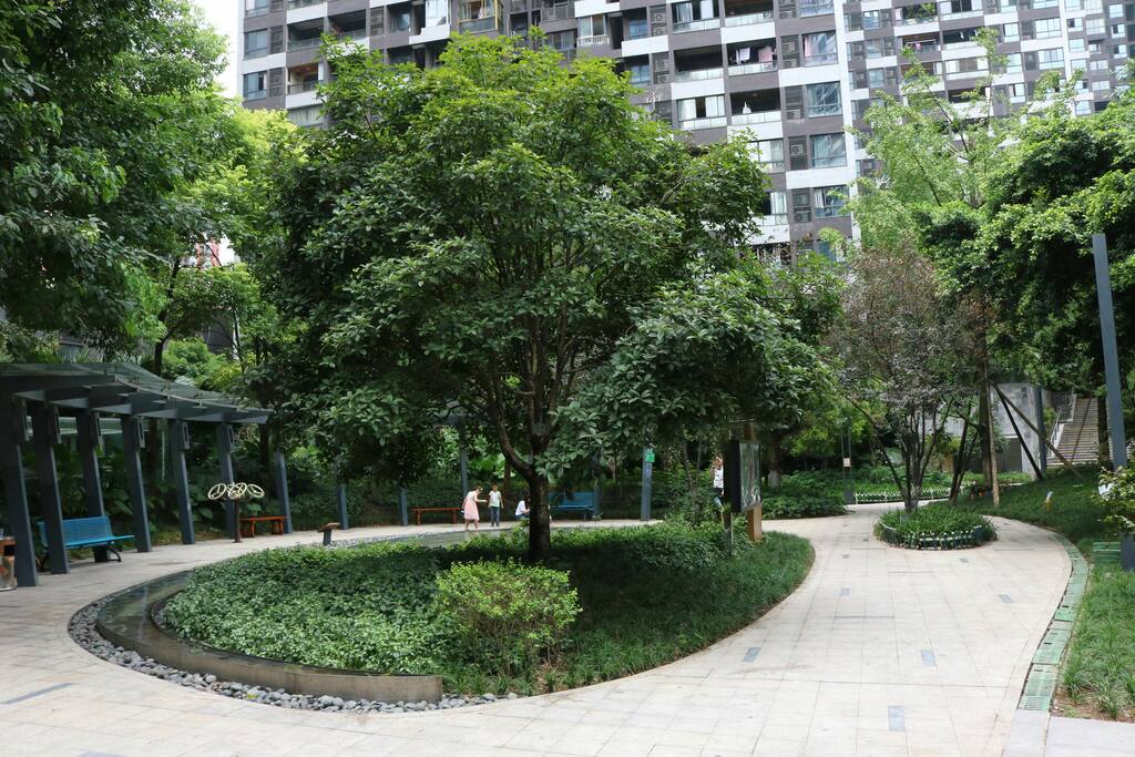 小区环境