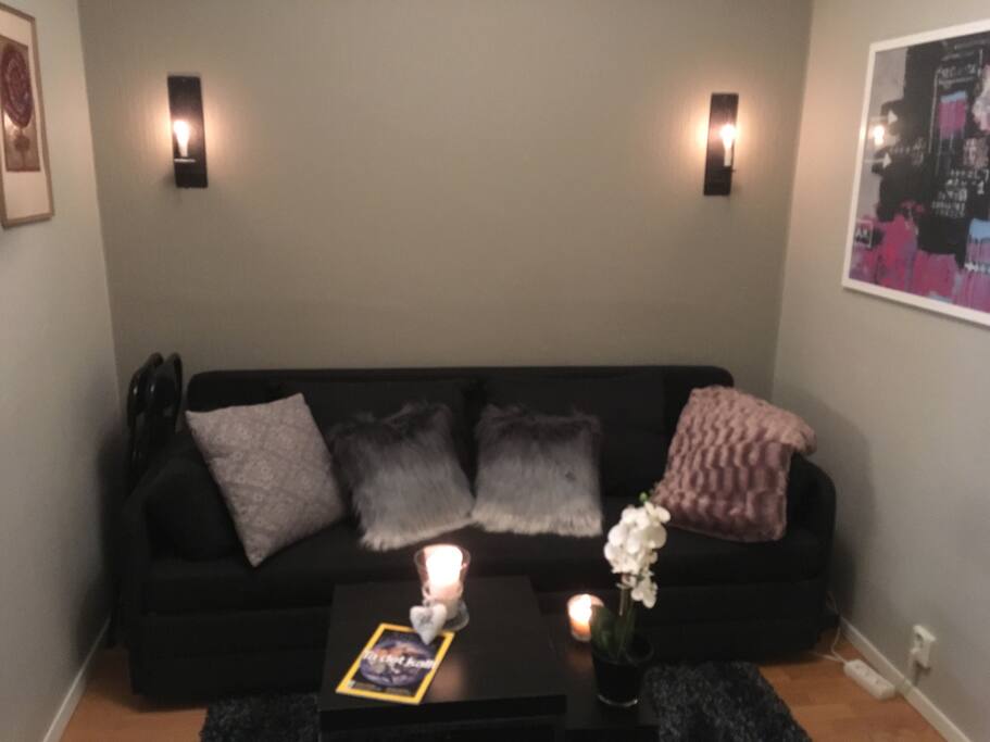 Bedroom/ livingroom number two with sofa bed.