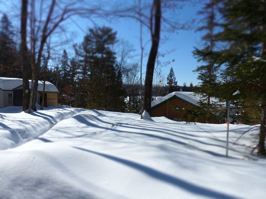 View from the driveway as you enter to the cottage