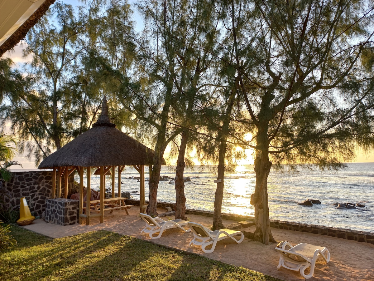 The image captures a beachfront area with a thatched gazebo surrounded by tall trees. Sun loungers are positioned on the sandy ground. The calm sea is visible in the background, reflecting the warm hues of a sunset.