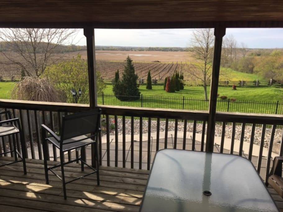 Wonderful view over the adjacent vineyard.