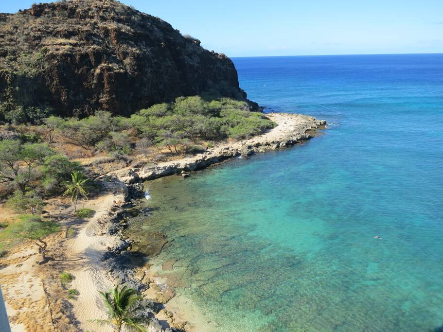 watch turtles swim in the clear water below your balcony