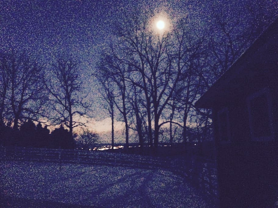 Moonrise over the hen house and barnyard