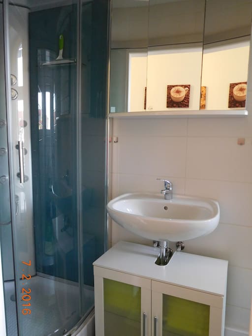 Badezimmer: Spiegelschrank und Wellnessdusche