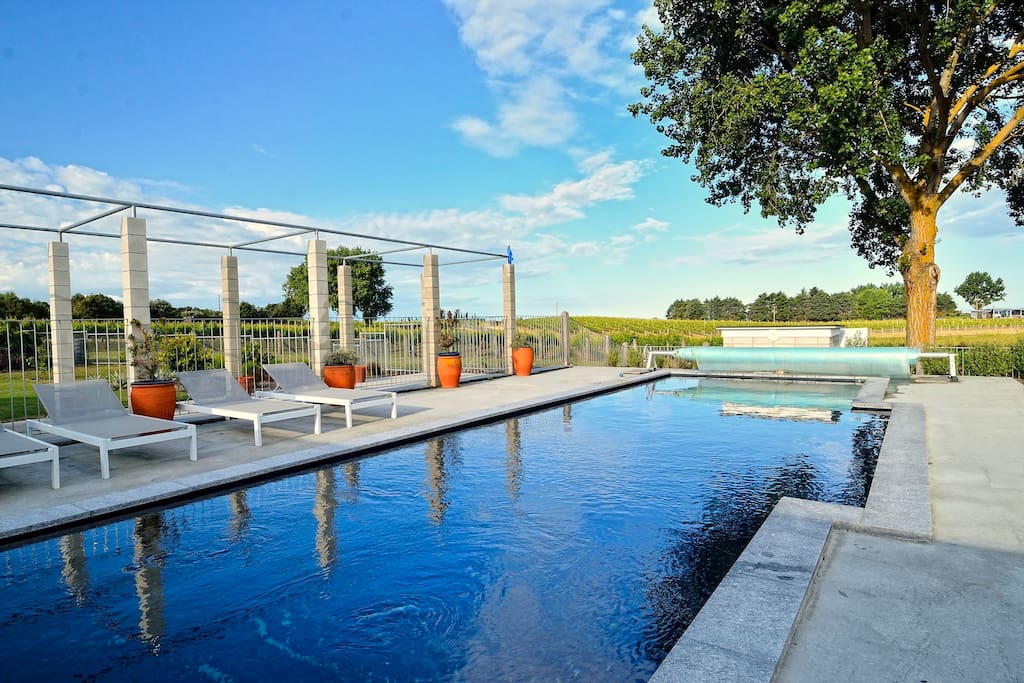 Saltwater lap pool with vineyard and Cape views