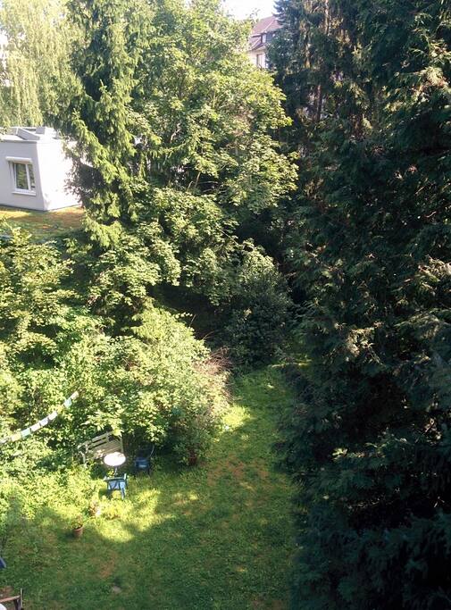 Blick in den Hinterhof