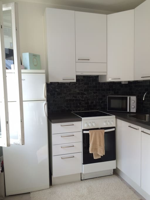 kitchen: an oven, fridge, freezer, microwave oven