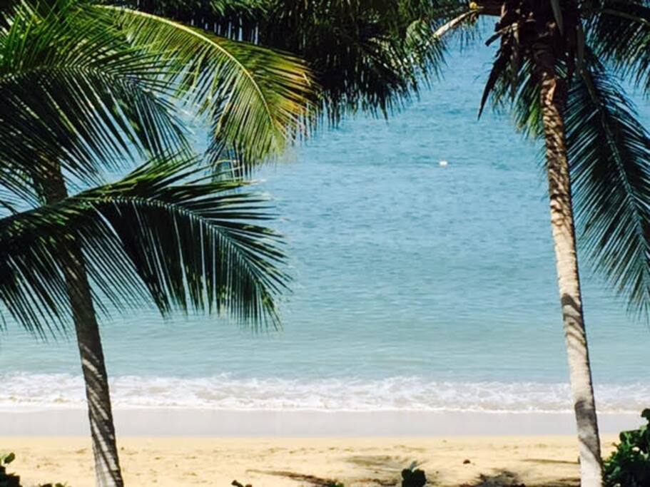 Beautiful view of the beach from the apt.