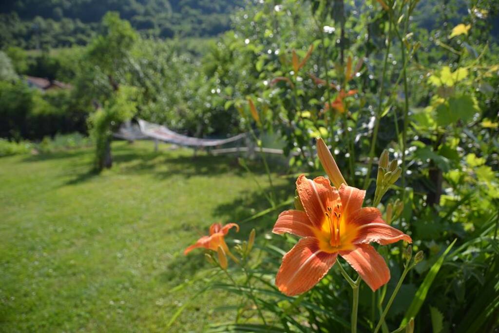 The perfect spot to sit and relax, to chill or to sunbathe and swim