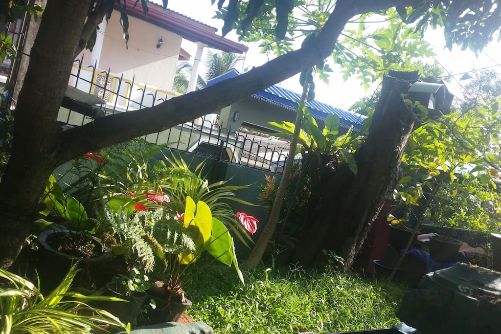 Wake up to the sounds of birds away from the hustle and bustle of the busy street. Relax and unwind