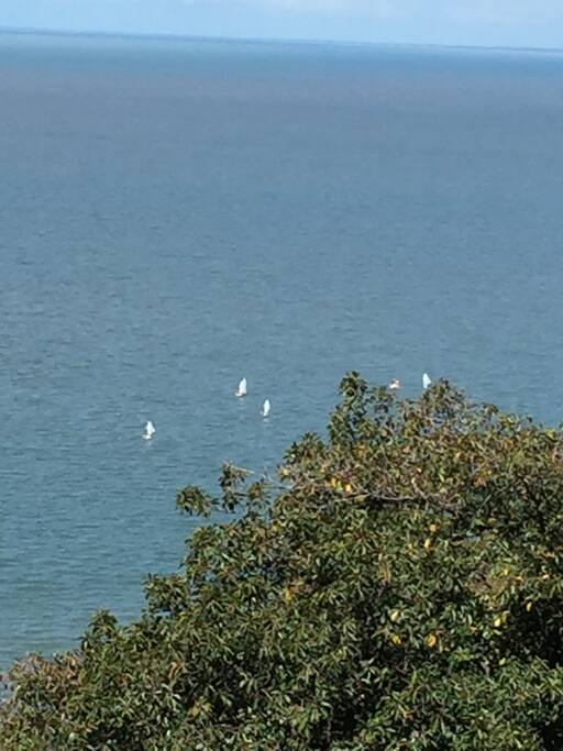 Vista da varanda / view from the balcony