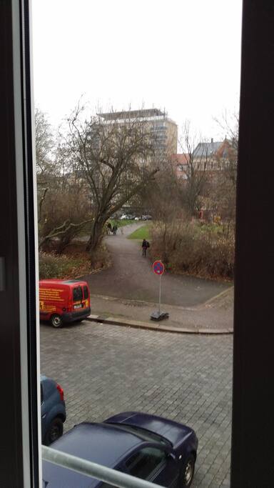 View from window to the park