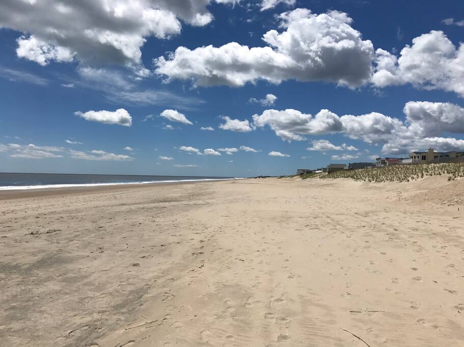 Our beach looking south!