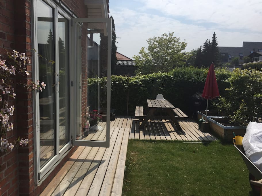 dinner in the sun