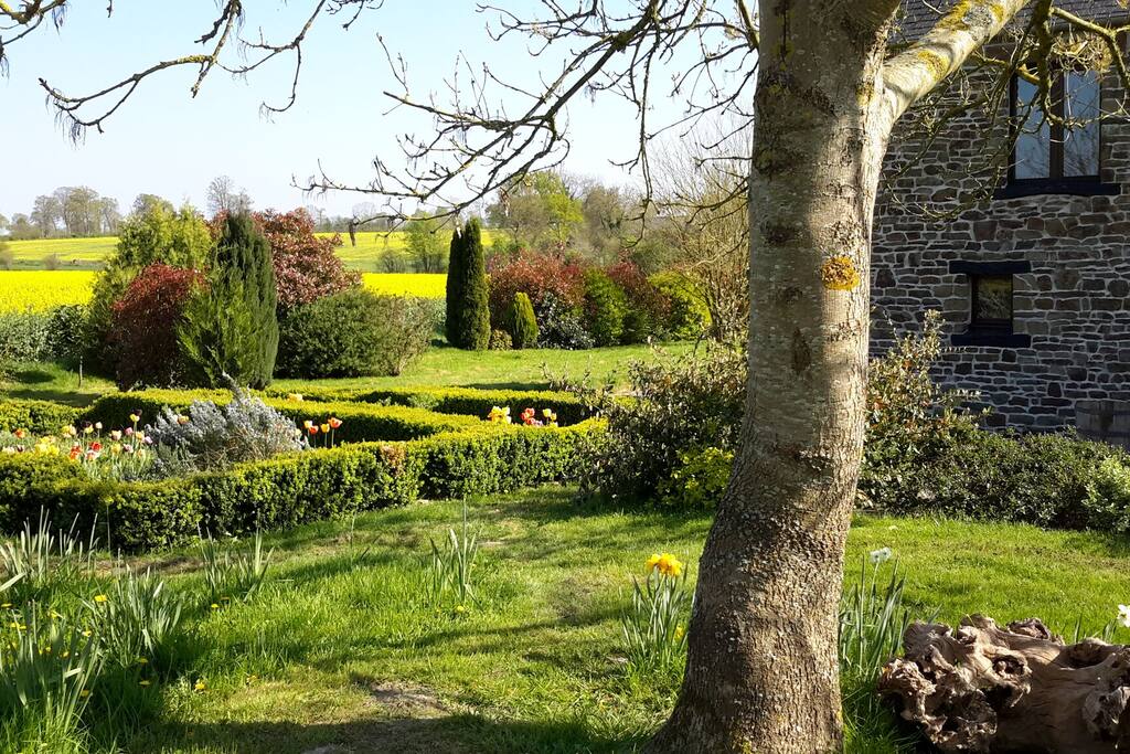 The back Garden.We sometimes see the Owl around this area.